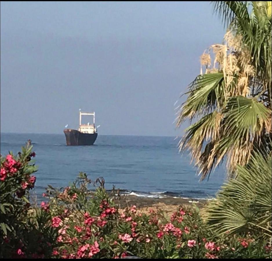 34 Beach Villa Paphos Eksteriør bilde